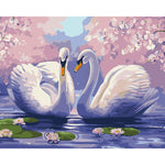 DIY Painting By Numbers - Swans (16"x20" / 40x50cm)