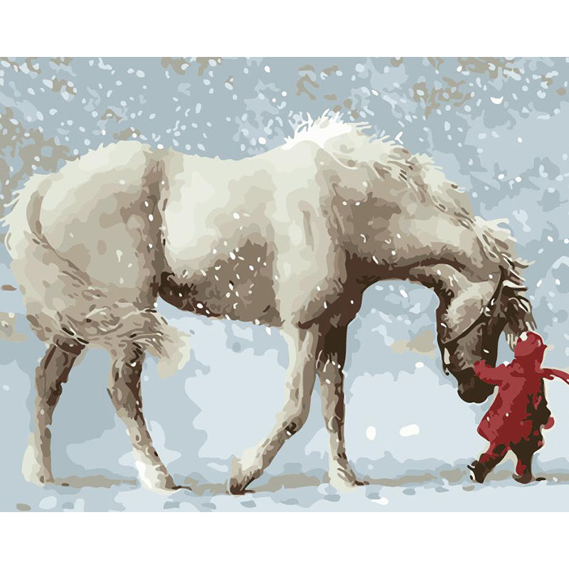 DIY Painting By Numbers - Girl & White Horse (16"x20" / 40x50cm)
