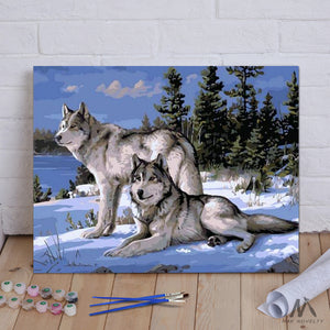DIY Painting By Numbers - Wolf (16"x20" / 40x50cm)