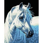 DIY Painting By Numbers - White Horse (16"x20" / 40x50cm)