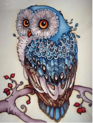DIY Painting By Numbers -Cartoon Owl  (16"x20" / 40x50cm)