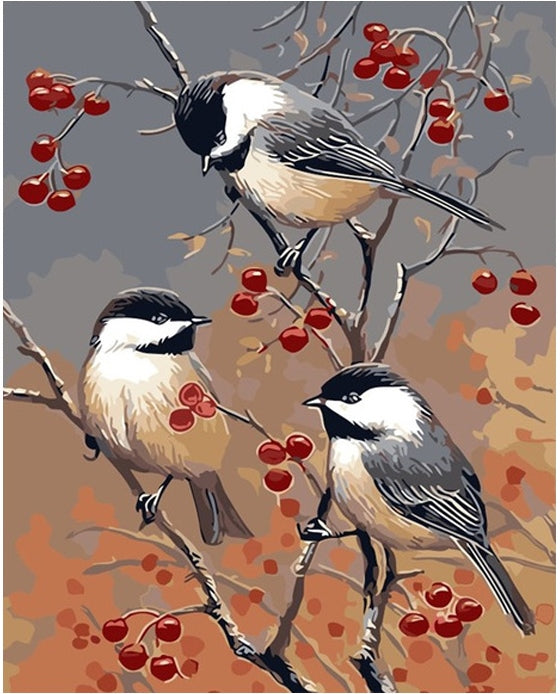 DIY Painting By Numbers -  Birds On A Branch(16"x20" / 40x50cm)