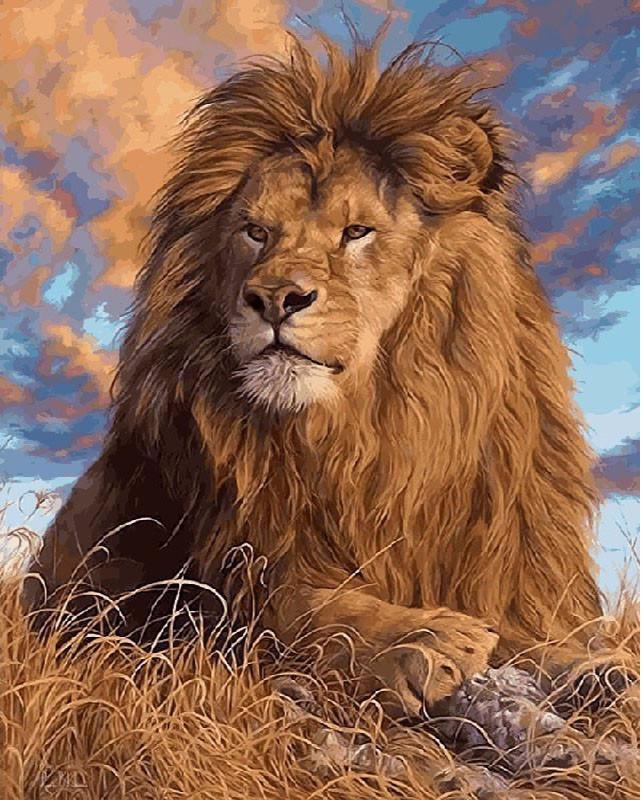 Lions Animal Painting By Numbers Kit For Adults Acrylic - Temu