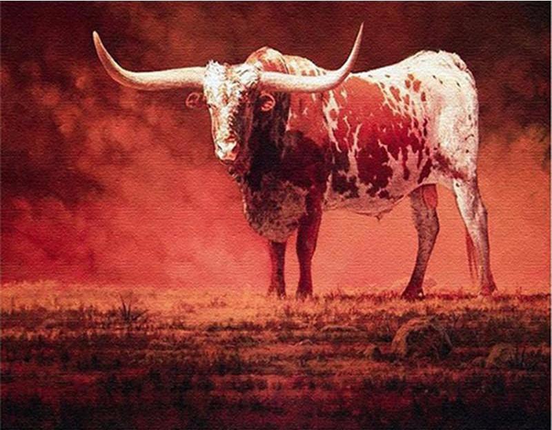 DIY Painting By Numbers - Red Cattle (16"x20" / 40x50cm)
