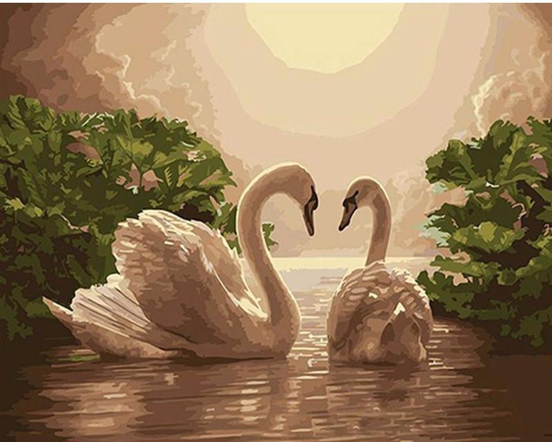 DIY Painting By Numbers - Lover Swan(16"x20" / 40x50cm)
