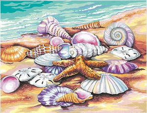 DIY Painting By Numbers -Shells  (16"x20" / 40x50cm)