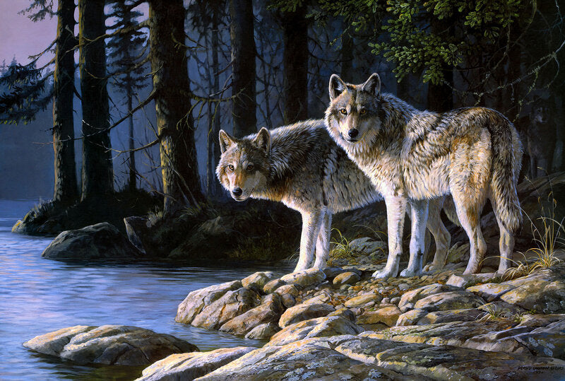 DIY Painting By Numbers - Wolf By The River(16"x20" / 40x50cm)