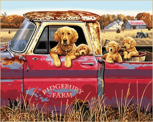 DIY Painting By Numbers -Dogs In A Car  (16"x20" / 40x50cm)